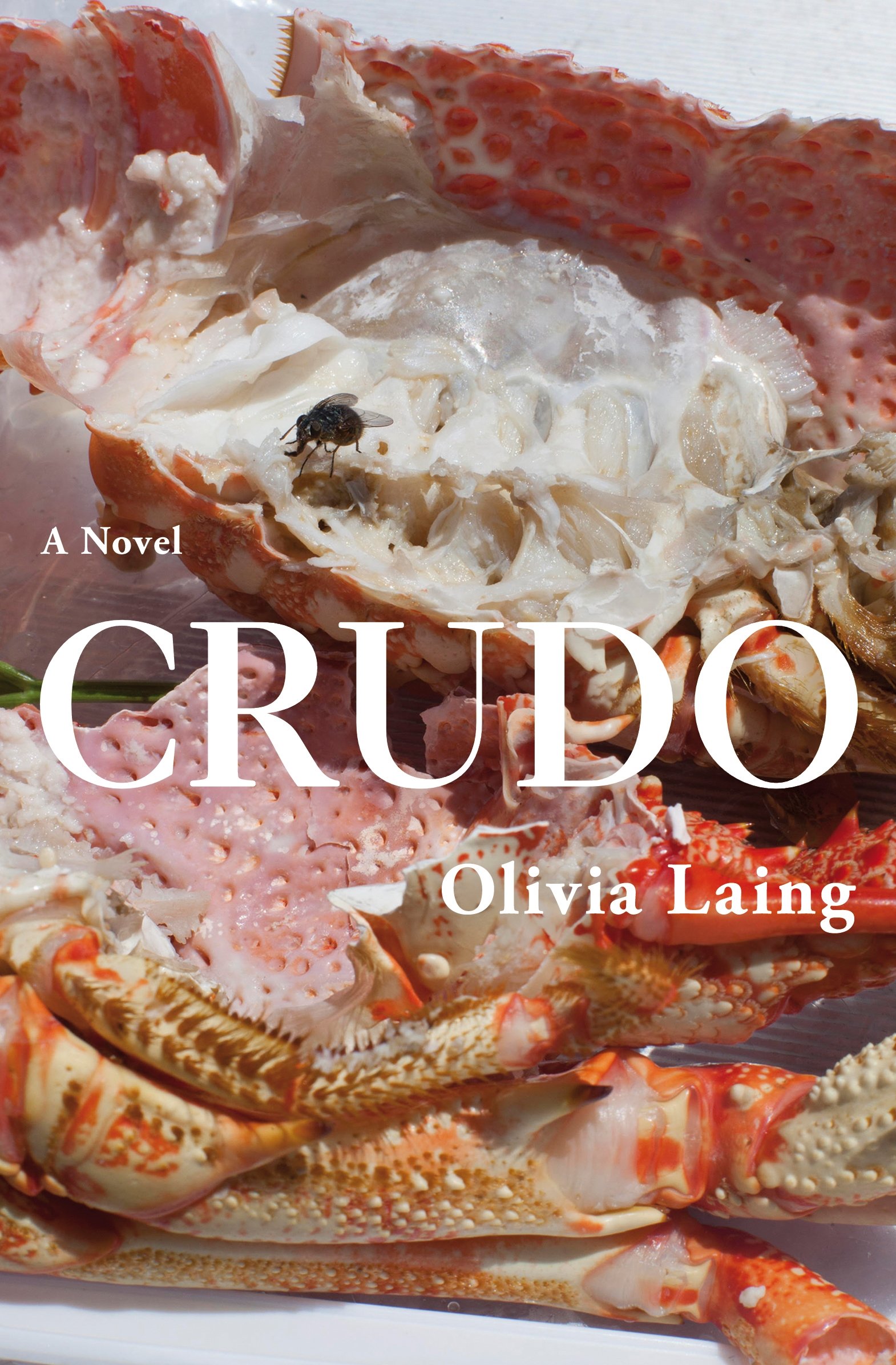 crudo olivia laing novel book cover